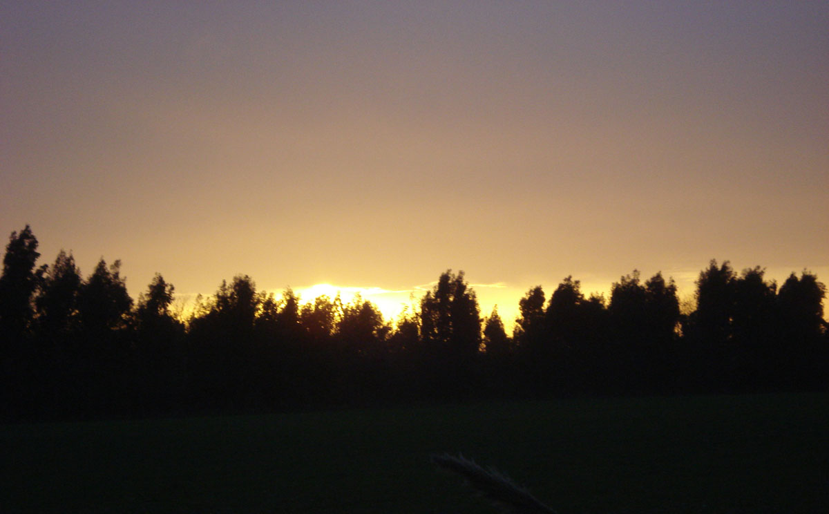 Ancora Ischia.........